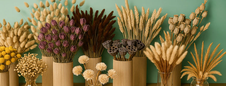 Nos créations en fleurs séchées